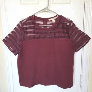 Cropped Blouse